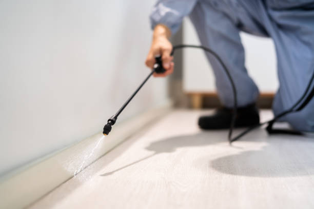 Licensed Termite Control service in Roseville, MN - Nex Pest Control