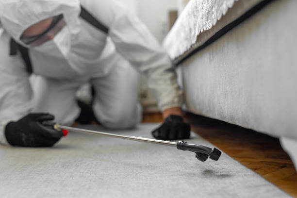 Professional Termite Control technician working in Roseville, MN