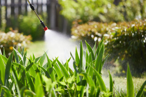 24/7 Emergency Termite Control experts in Roseville, MN