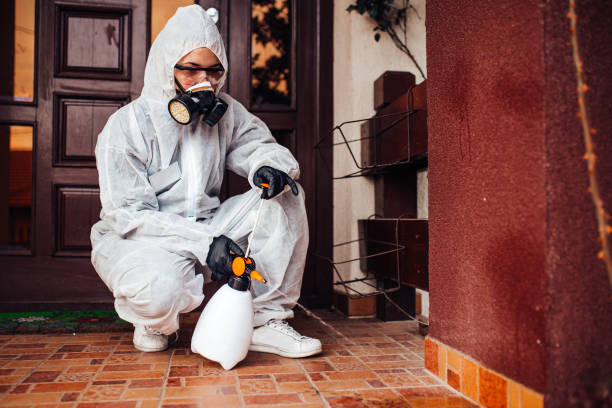 Reliable Termite Control contractor in Roseville, MN by Nex Pest Control