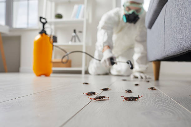 Trusted Termite Control service in Roseville, MN - Nex Pest Control